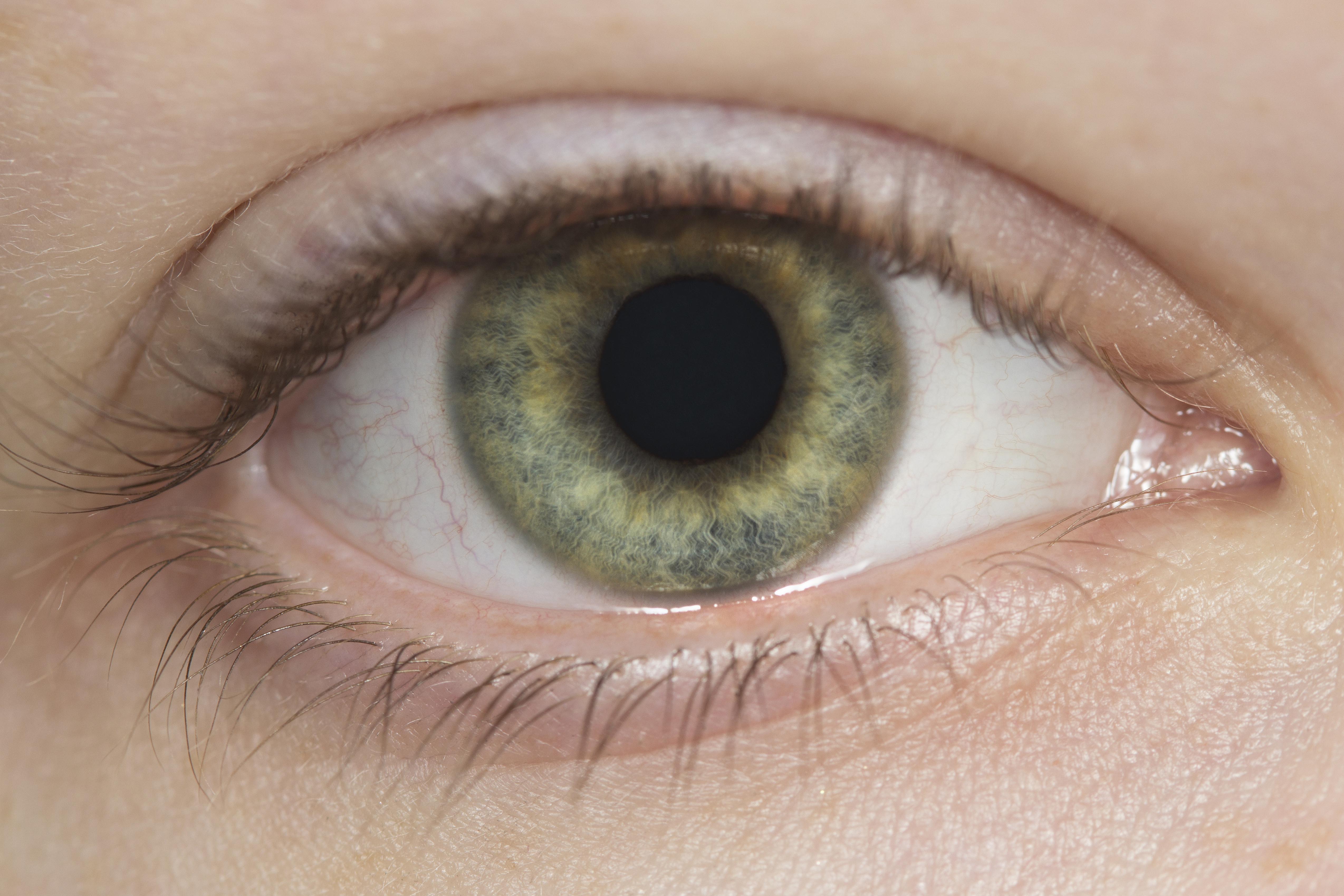 Eye 9